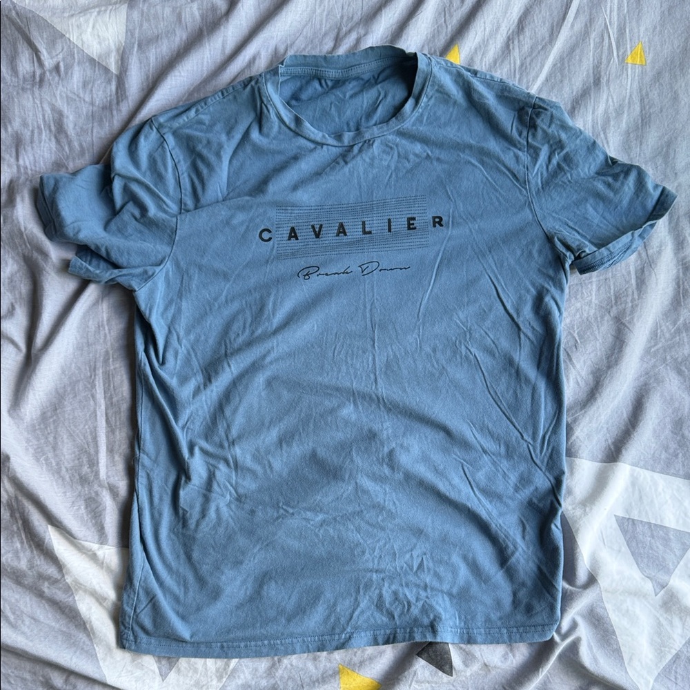 Blue Men's T-Shirt